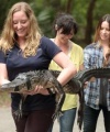 BP_GCSNH105H_releasing-alligator-at-sea-turtle-center_i.jpg